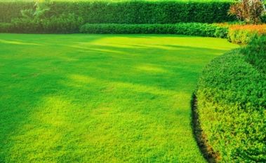 How To Fix Bare Patches On My Lawn